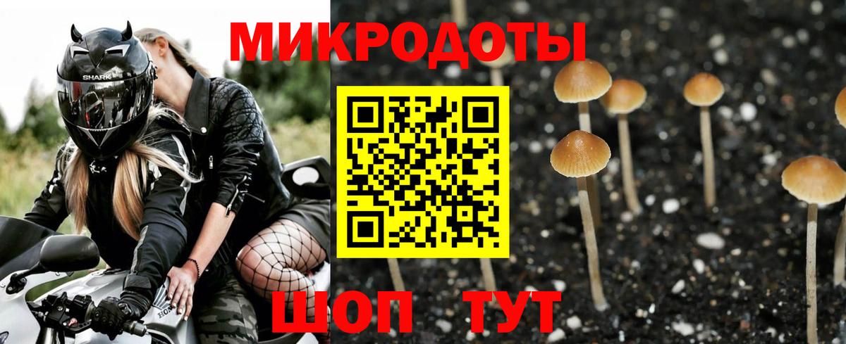 Псилоцибиновые грибы прущие грибы Кондопога